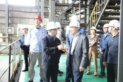 新团队扶植为沉点